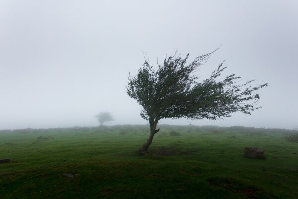  Perspėjimas apie pavojingą meteorologinį reiškinį – vėją