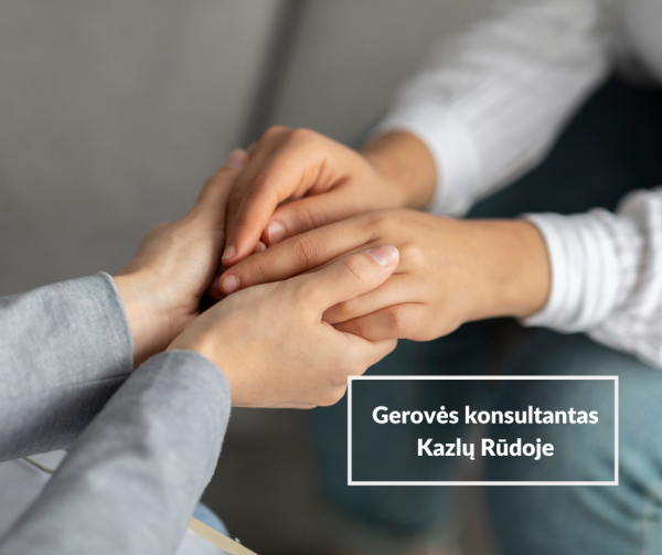 Gerovės konsultantės paslaugos Kazlų Rūdos savivaldybėje