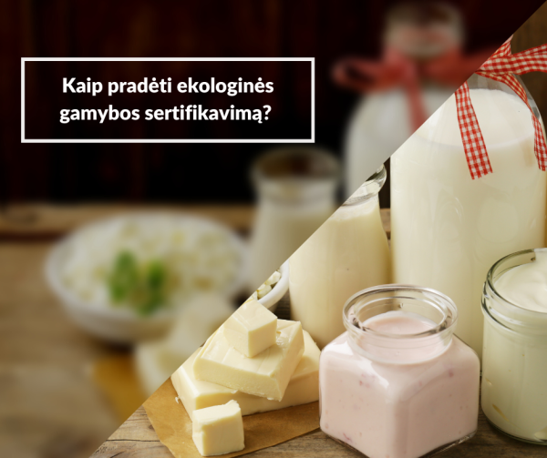 Kaip pradėti ekologinės gamybos sertifikavimą?