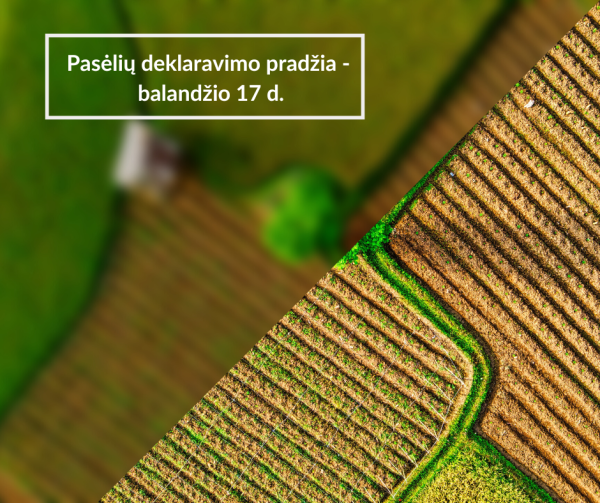 Pasėlių deklaravimo pradžia - balandžio 17 d.