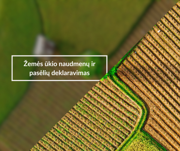 Žemės ūkio naudmenų ir pasėlių deklaravimas